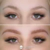 Evenflo Almond - Brow