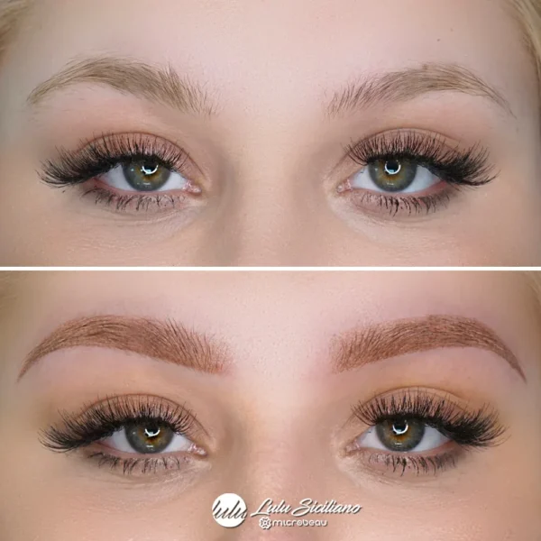 Evenflo Almond - Brow