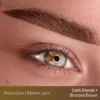 DarkBlonde_BronzedBrown_1_a5bfcfa4-e768-46d1-922f-59993c7b27db Evenflo Dark Blonde - Blonde 2 Brunette