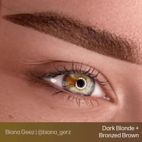 DarkBlonde_BronzedBrown_1_a5bfcfa4-e768-46d1-922f-59993c7b27db Evenflo Dark Blonde - Blonde 2 Brunette