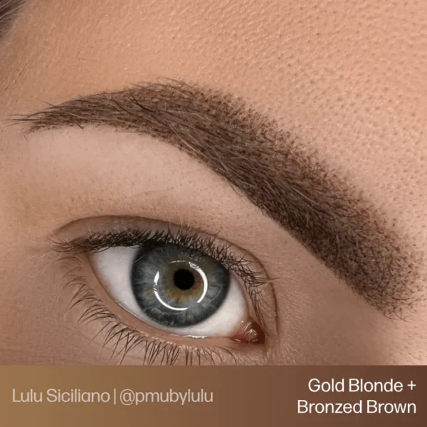 GoldBlonde_BronzedBrown_1_c0932b51-6761-47da-9012-a6032933f02e Evenflo Gold Blonde - Blonde 2 Brunette
