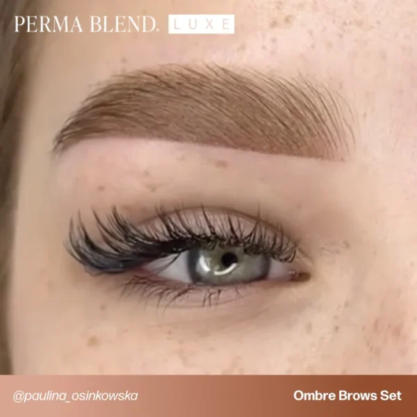 PB-LUXE-UGC-BrowsOmbreBrowsPaulinaOsinkowska-1_1_c78341f8-b7ab-47ae-8e9b-8e0bd9c1786d Perma Blend LUXE x Osinkowska Ombre Brows Collection