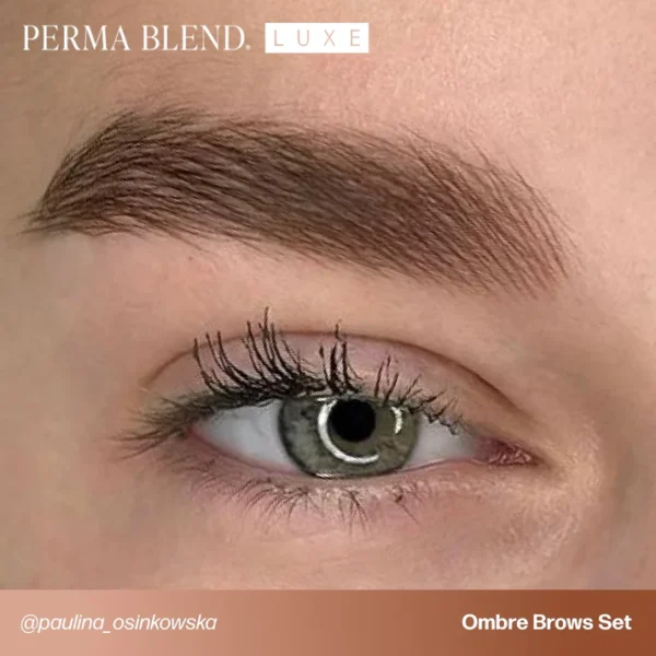 PB-LUXE-UGC-BrowsOmbreBrowsPaulinaOsinkowska-2_1 Perma Blend LUXE x Osinkowska Ombre Brows Collection