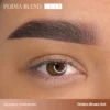 PB-LUXE-UGC-BrowsOmbreBrowsPaulinaOsinkowska-3_1 Perma Blend LUXE x Osinkowska Ombre Brows Collection