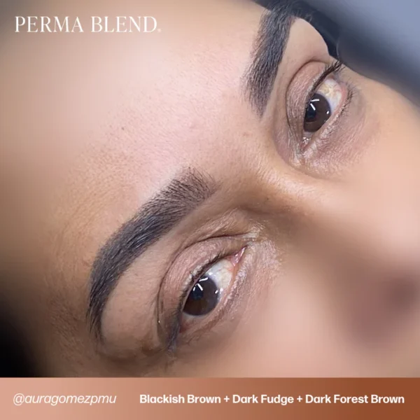 PB-UGC-BROWS-BlackishBrown-DarkFudge-DarkForestBrown-_Auragomezpmu1_92a94c13-7915-4b1c-9ed3-e44cf6dc3fbb Dark Forest Brown