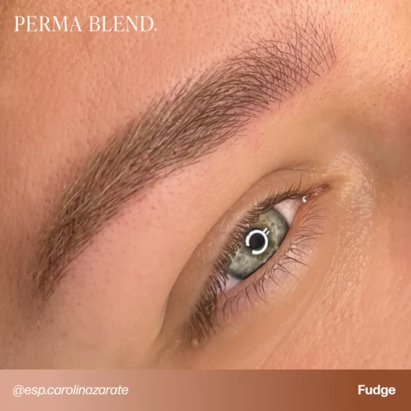 PB-UGC-BROWS-Fudge-CarolinaZarate_2 Fudge