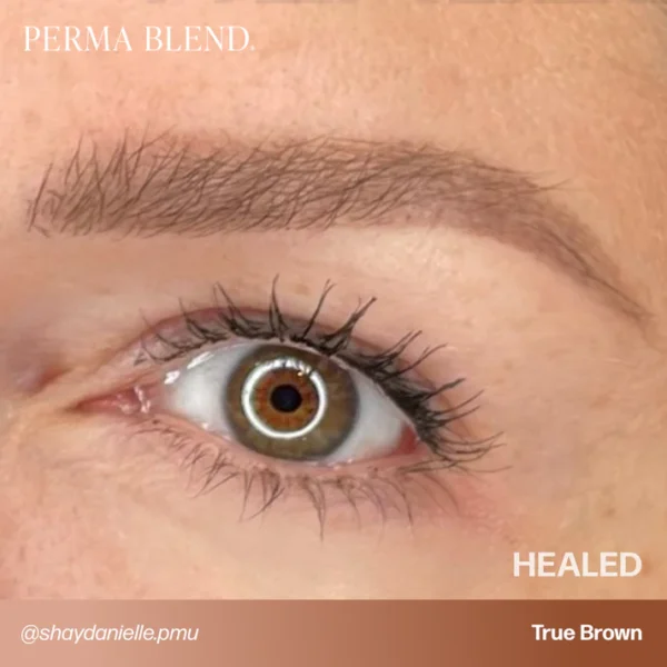 PB-UGC-BROWS-TrueBrown-HEALED-ShayDanielle-_shaydanielle.pmu True Brown