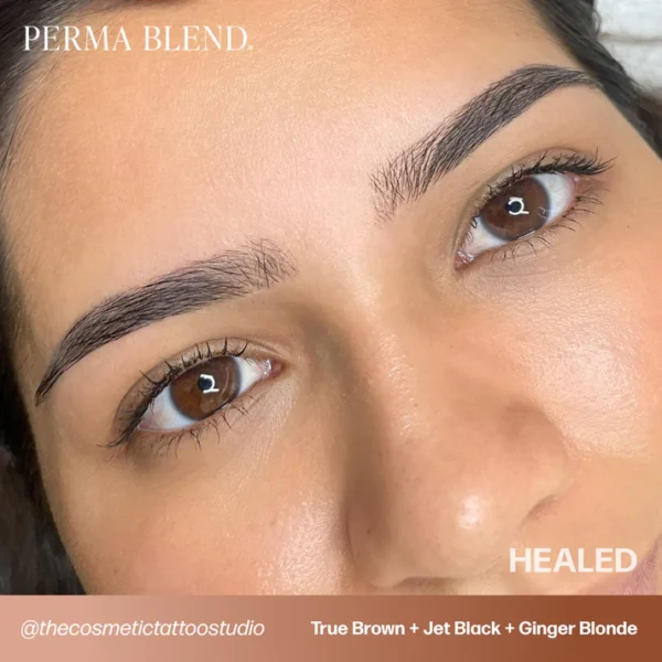 PB-UGC-BROWS-TrueBrown-JetBlack-GingerBlonde-HEALED-Bodi-_thecosmetictattoostudio True Brown