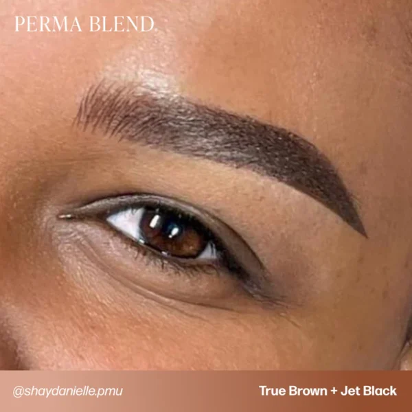 PB-UGC-BROWS-TrueBrown-JetBlack-ShayDanielle-_shaydanielle.pmu Jet Black