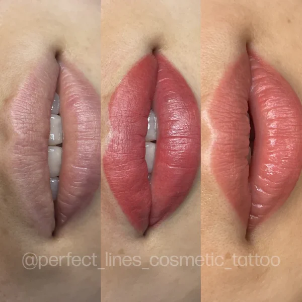 PB_LIPS_EVENFLO_BEFOREAFTERHEALED__perfect_lines_cosmetic_tattoo_BARE_MALINA_NEUTRALIZER_BEAUTYINKLUSIVITY_1ac43b41-d5e9-44cd-ba57-dd7637fae885 Evenflo Neutralizer Set