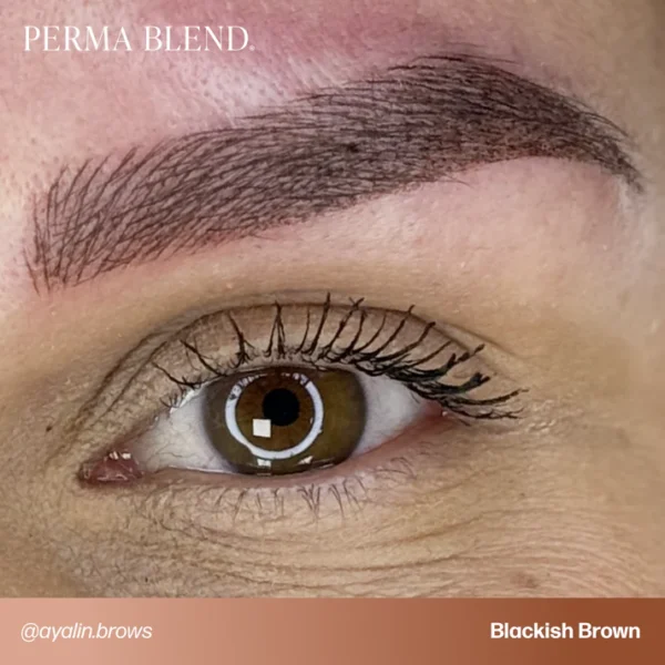 PB_UGC_BROWS_BlackishBrown__ayalin.brows_1 Blackish Brown