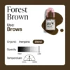 Perma-Blend-Forest-Brown-Color-Information-PBFB.5 Forest Brown