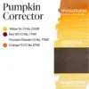 Pumpkin Corrector