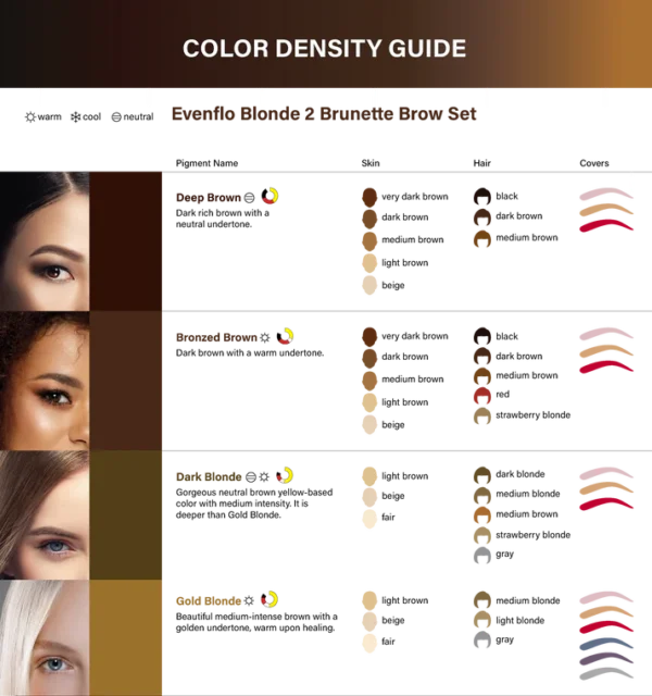 ProductPageBlonde2BrunetteColorChart_2048x_536667be-039a-43fa-bac9-9e902a3d0fe8 Evenflo Gold Blonde - Blonde 2 Brunette