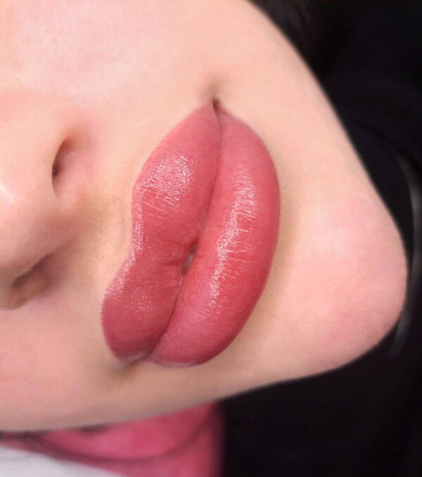 №9+№2+№4 (1) LIPS N4 CHERRY