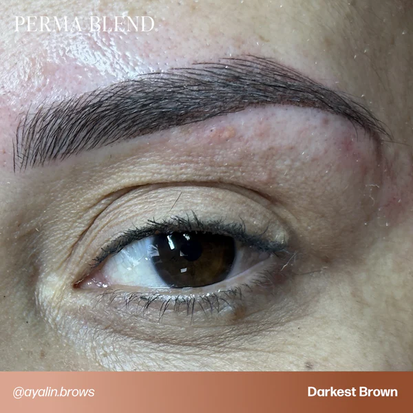 PB_UGC_BROWS_DarkestBrown__ayalin.brows_1 Darkest Brown - Permablend